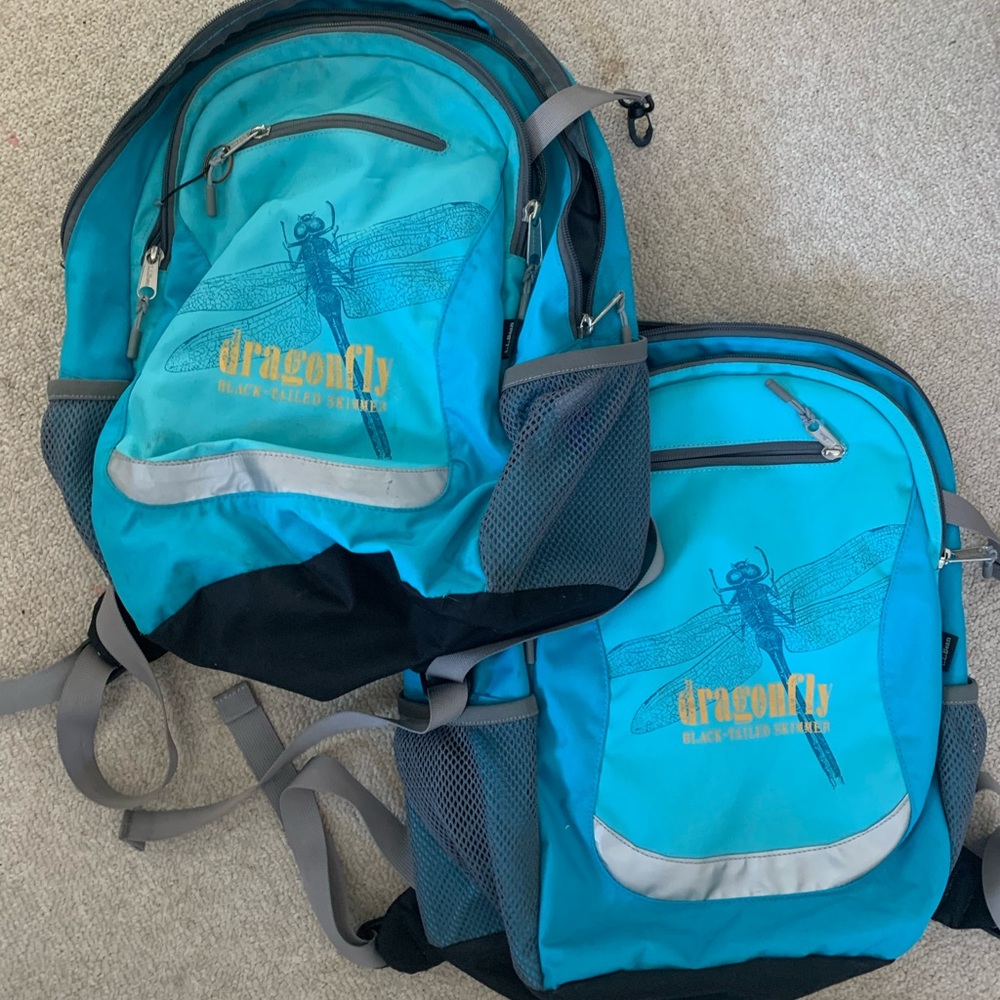 two dragonfly backpack set